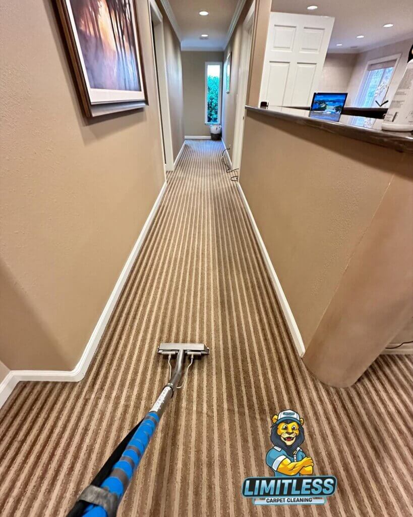 Revitalize your business with commercial carpet cleaning from Limitless Carpet Cleaning, serving Santa Cruz, Monterey, Gilroy, Watsonville and surrounding cities